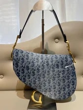 Dior Medium Saddle (25.5×20×6.5) Cm 2