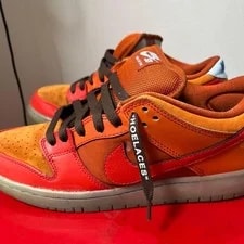 10.5US Nike Sb Dunk Low Pro 2