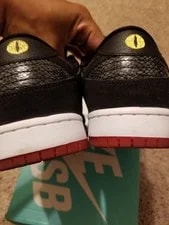 Nike Dunk SB Low 3