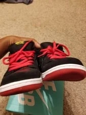 Nike Dunk SB Low 4