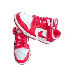 Nike Dunk ’S Low Top Lace-Up 3