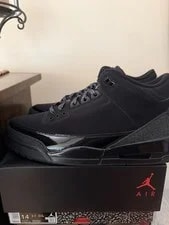 Size 14 - Air Jordan 3 Retro 2025 Cat 3