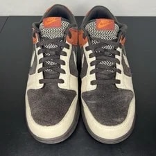 Size 11 - Nike Dunk Low 2