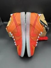 Size 11 - Nike SB Dunk Low Pro Fire & Ice Chilling 2013 2