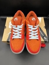 Size 11 - Nike SB Dunk Low Pro Fire & Ice Chilling 2013 3
