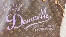Louis Vuitton Neverfull Limited ONE Time USE 2