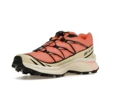 Salomon XT-6 Living - L47445000 4