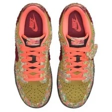 Nike Dunk Low Top Skateboard Shoes -300 4