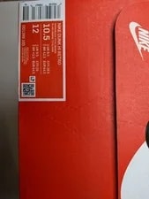 Size 10.5 - Nike Dunk High 4