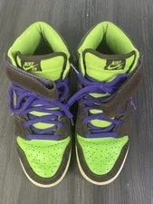 Nike SB Dunk Mid Pro Donatello Size 11 Skateboarding Dunks Box Era 08 4