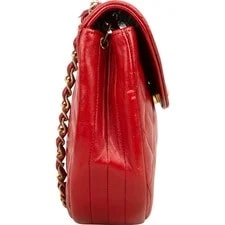 Chanel Quilted Coin Single Flap Crossbody Coco CC 3
