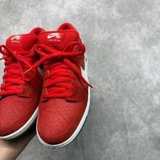 Nike SB Dunk Low Pro Swoosh 2