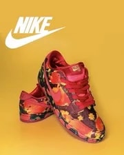 Nike SB — ! Nike SB Dunk Low QS - Wizard of OZ: Field • FZ1291 600 — Sneaker — resale