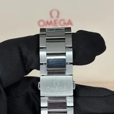 Omega Seamaster Aqua Terra 4