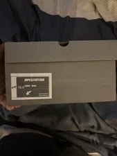Studios L A Bapesta Travis Scott Apestation Dunk Low 2