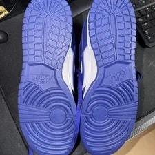 NEW Nike Dunk Low Retro 2