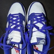 NEW Nike Dunk Low Retro 3