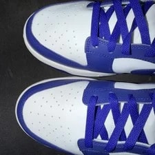 NEW Nike Dunk Low Retro 4