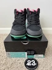 NEW Premier Nike SB Dunk High Northern Lights SZ 10.5 313171-063 2