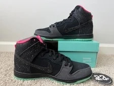 NEW Premier Nike SB Dunk High Northern Lights SZ 10.5 313171-063 3