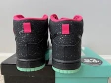 NEW Premier Nike SB Dunk High Northern Lights SZ 10.5 313171-063 4