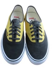 Vans Skate Authentic Fade Shoes 2