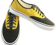 Vans Skate Authentic Fade Shoes 3