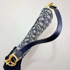 Dior Saddle Medium / With Strap 2