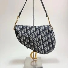 Dior Saddle Medium / With Strap 4