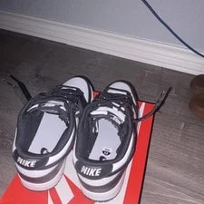 Nike Dunk Low / Low Top Lace-Up DD1391-100 3