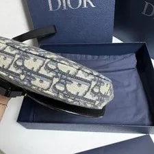 Dior Saddle A5 Official 3