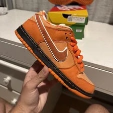 Nike SB Dunk Low 2022 ' Lobster' 2