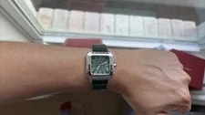 Cartier Santos 35mm Medium Steel Green Dial WSSA0061 - 2026 4