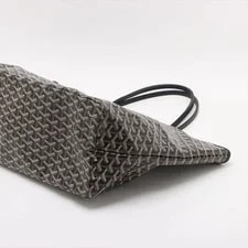 Goyard Saint Louis & 3