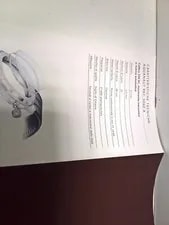 Patek Philippe Aquanaut 5060 Booklet Year 97 Italian 4