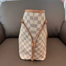 Louis Vuitton Neverfull Pochette Set 4
