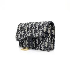 Dior Saddle Belt Crossbody aa56585 152315839 3