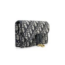 Dior Saddle Belt Crossbody aa56585 152315839 4