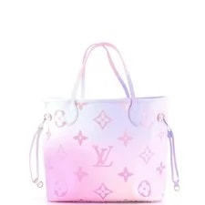 Louis Vuitton Neverfull NM Spring in the City Giant 4