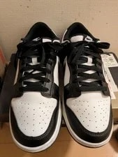 9.0US Nike Dunk Low Retro 2