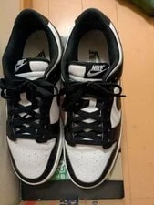 9.0US Nike Dunk Low Retro 3