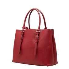 Prada Triangle Logo Plate Use 2