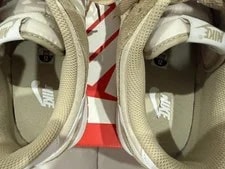 Nike Dunk Low Retro SE HQ1931-100 Pale / /Light Orewood 4