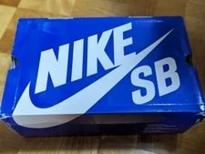 Nike Zoom Bruin Sb Color With Box Us11 4