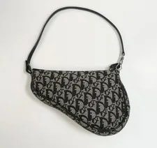 Dior Mini Saddle Trotter Monogram Print Pochette . 2