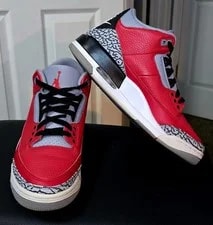 Air Jordan 3 Retro SE in the Colorway Preowned With the Box 9 3