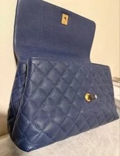 Chanel Coco Handle Skin Handle Flap #QYIVD8 2