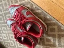 Nike Dunks 4