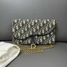 Dior — Dior 2023 Saddle WOC Crossbody Clean Shiny Chain Strap — Handbag — resale