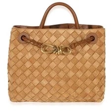 Bottega Veneta — Small Andiamo — Handbag — resale